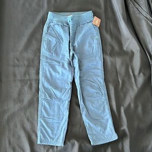 Tea Collection lined pants